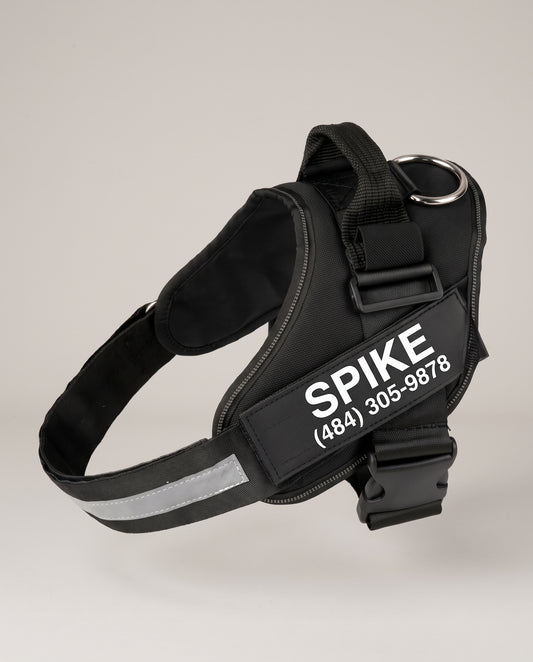 Personalized Dog Harness No Pull