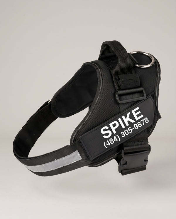 Personalized Dog Harness No Pull
